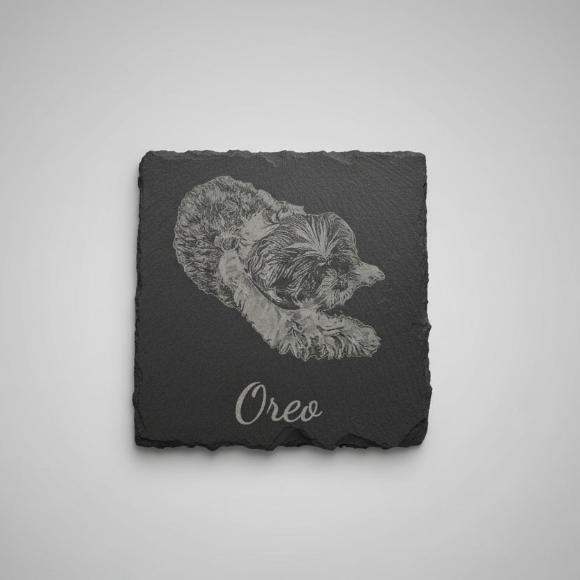 pet engraved photo slate coaster